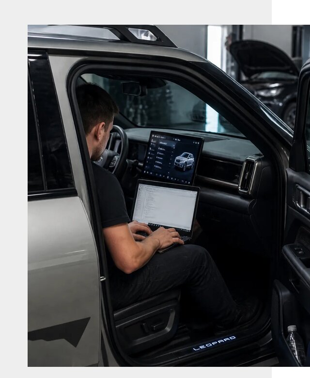Русификация BYD Leopard 3 в Сургуте по цене от 20342 р. | ФастМобиль-Срг